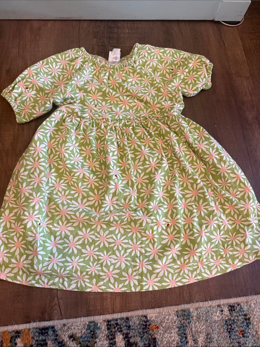 Hanna Andersson Green Daisy Smocked Waist Dress with Pink Centers